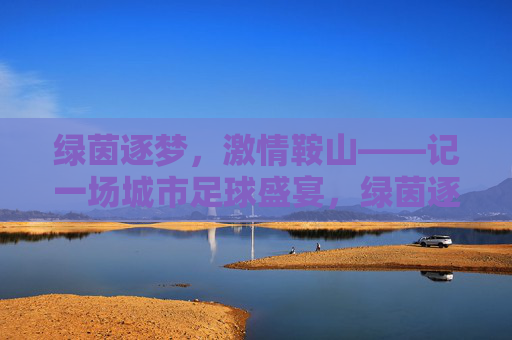 绿茵逐梦,激情鞍山——记一场城市足球盛宴,绿茵逐梦鞍山,城市足球盛宴