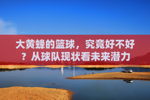 大黄蜂的篮球,究竟好不好?从球队现状看未来潜力