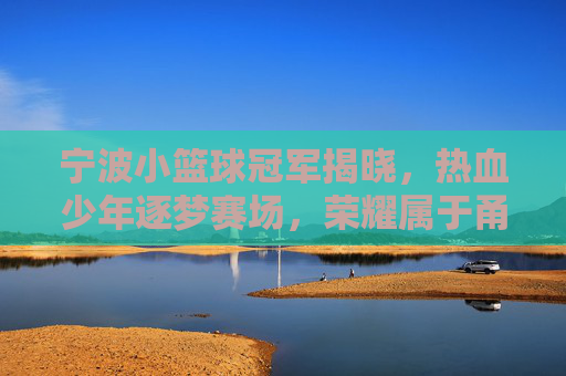 宁波小篮球冠军揭晓,热血少年逐梦赛场,荣耀属于甬城小闪电,甬城小闪电荣耀加冕!宁波小篮球冠军热血揭晓