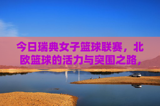 今日瑞典女子篮球联赛,北欧篮球的活力与突围之路,瑞典女子篮球联赛,北欧篮球的活力突围之路