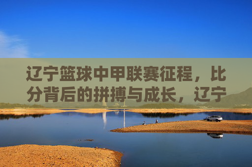 辽宁篮球中甲联赛征程，比分背后的拼搏与成长，辽宁篮球中甲征程，拼搏为阶，成长为章