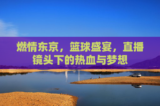 燃情东京,篮球盛宴,直播镜头下的热血与梦想