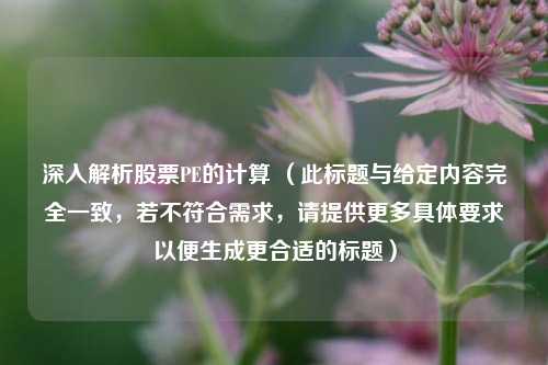 深入解析股票PE的计算 （此标题与给定内容完全一致，若不符合需求，请提供更多具体要求以便生成更合适的标题）
