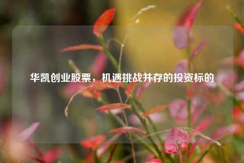 华凯创业股票，机遇挑战并存的投资标的