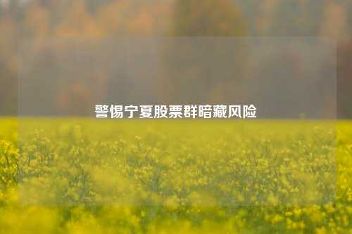 警惕宁夏股票群暗藏风险