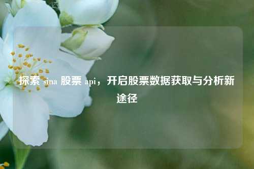 探索 sina 股票 api，开启股票数据获取与分析新途径