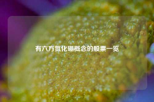 有六方氮化硼概念的股票一览