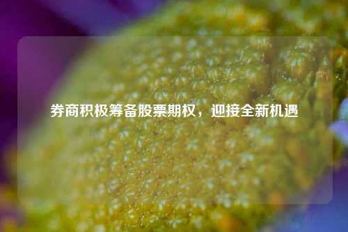 券商积极筹备股票期权，迎接全新机遇