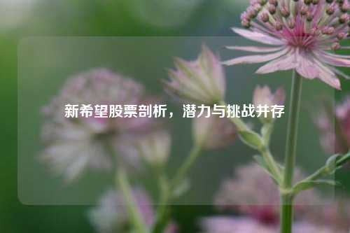 新希望股票剖析，潜力与挑战并存