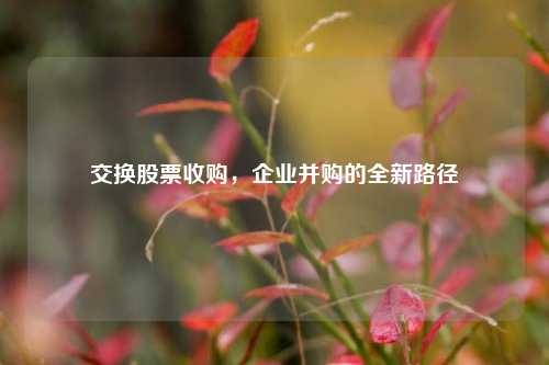 交换股票收购，企业并购的全新路径