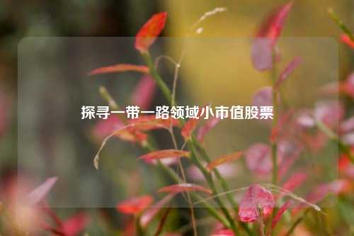 探寻一带一路领域小市值股票