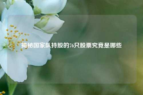 揭秘国家队持股的76只股票究竟是哪些