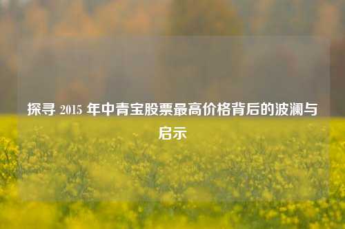 探寻 2015 年中青宝股票最高价格背后的波澜与启示
