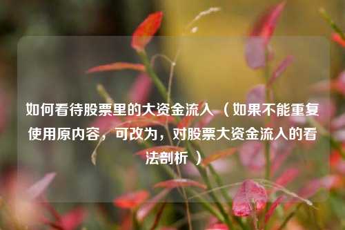 如何看待股票里的大资金流入 （如果不能重复使用原内容，可改为，对股票大资金流入的看法剖析 ）