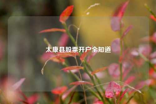 太康县股票开户全知道