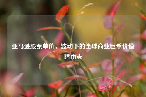 亚马逊股票单价,波动下的全球商业巨擘价值晴雨表