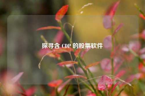 探寻含 CDP 的股票软件