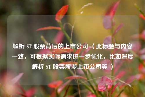 解析 ST 股票背后的上市公司 (此标题与内容一致,可根据实际需求进一步优化,比如深度解析 ST 股票所涉上市公司等 )