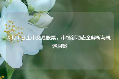 3 月 1 日上市交易股票，市场新动态全解析与机遇洞察