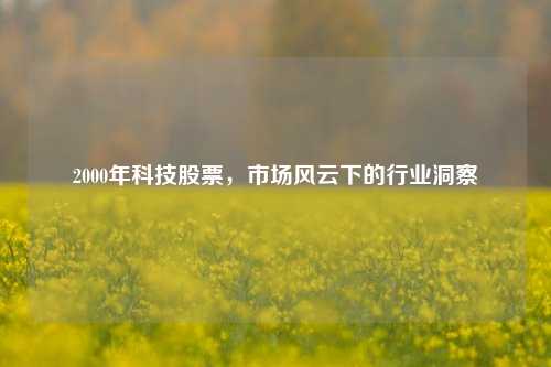 2000年科技股票，市场风云下的行业洞察