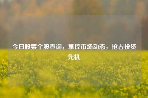 今日股票个股查询，掌控市场动态，抢占投资先机