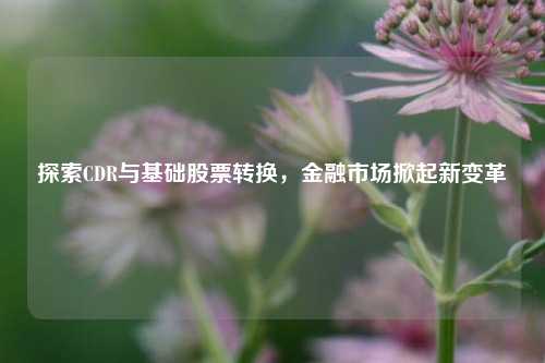探索CDR与基础股票转换，金融市场掀起新变革