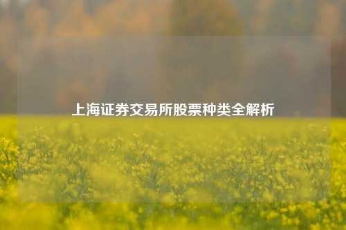 上海证券交易所股票种类全解析