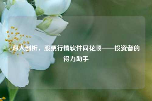 深入剖析，股票行情软件同花顺——投资者的得力助手