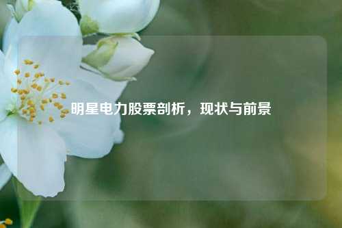 明星电力股票剖析，现状与前景