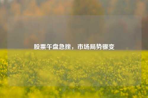 股票午盘急挫，市场局势骤变