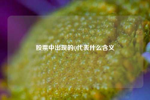 股票中出现的Q代表什么含义