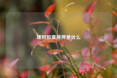 理财股票质押是什么