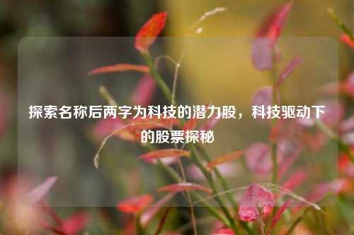 探索名称后两字为科技的潜力股，科技驱动下的股票探秘