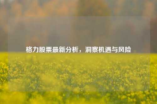 格力股票最新分析，洞察机遇与风险