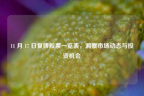 11 月 17 日复牌股票一览表，洞察市场动态与投资机会