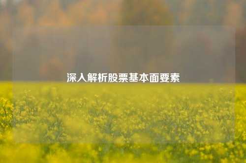 深入解析股票基本面要素