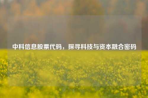 中科信息股票代码，探寻科技与资本融合密码