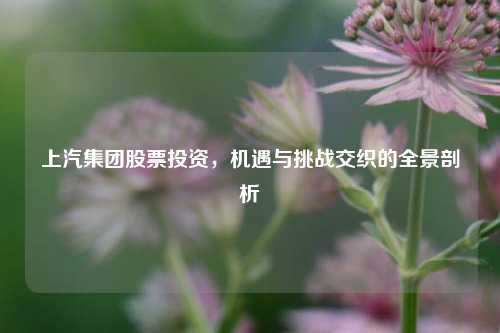 上汽集团股票投资，机遇与挑战交织的全景剖析