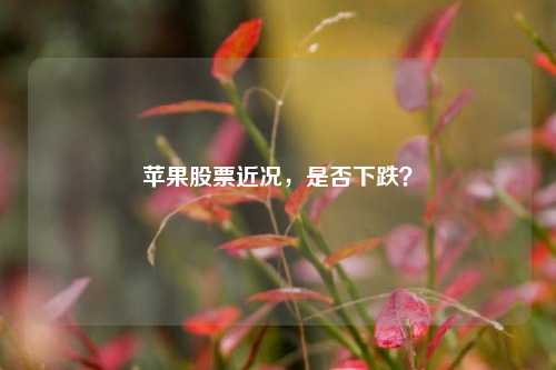 苹果股票近况，是否下跌？