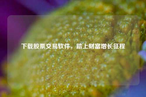 下载股票交易软件，踏上财富增长征程