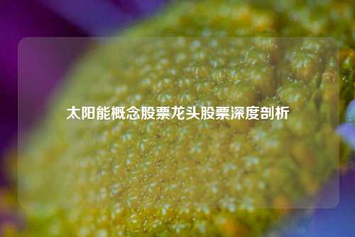太阳能概念股票龙头股票深度剖析