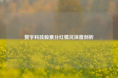 赞宇科技股票分红情况深度剖析