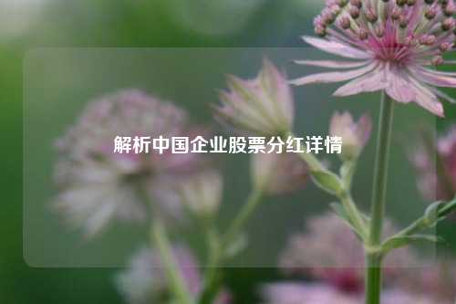 解析中国企业股票分红详情