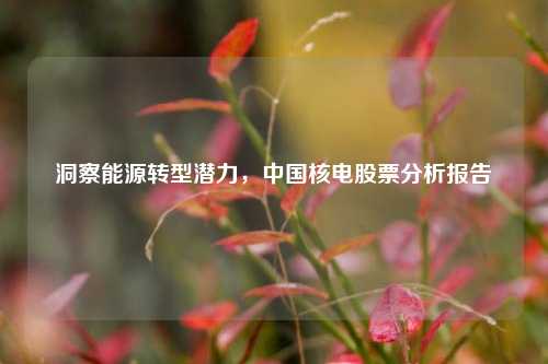 洞察能源转型潜力，中国核电股票分析报告