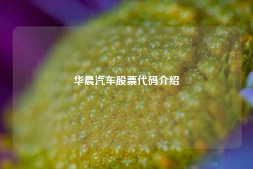 华晨汽车股票代码介绍 华晨汽车股票代码介绍