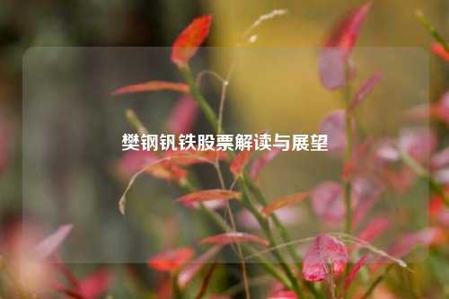 樊钢钒铁股票解读与展望