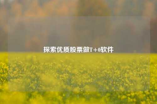 探索优质股票做T+0软件