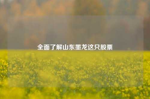 全面了解山东墨龙这只股票