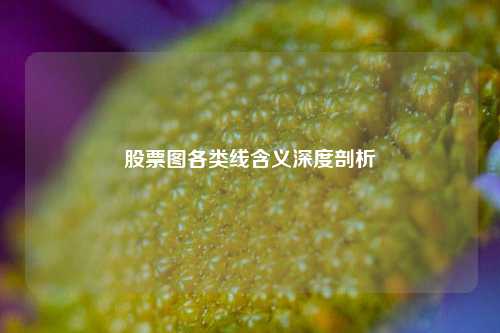 股票图各类线含义深度剖析