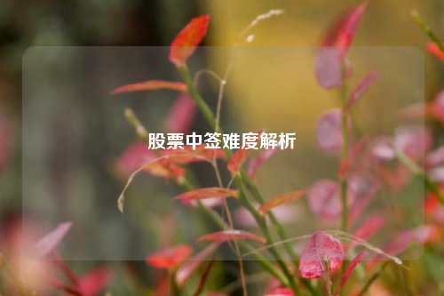 股票中签难度解析